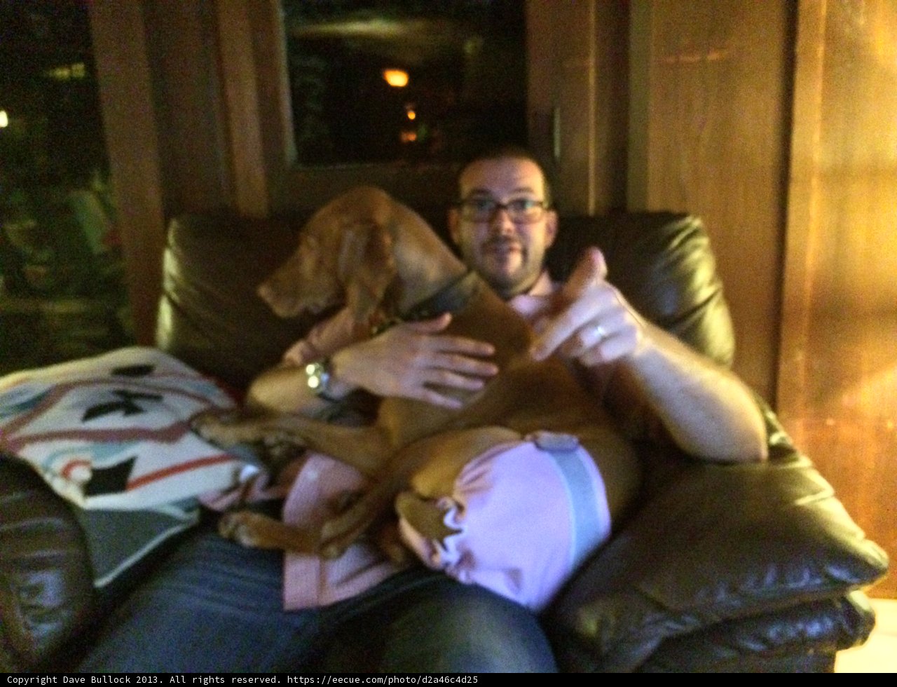 Man's Best Friend