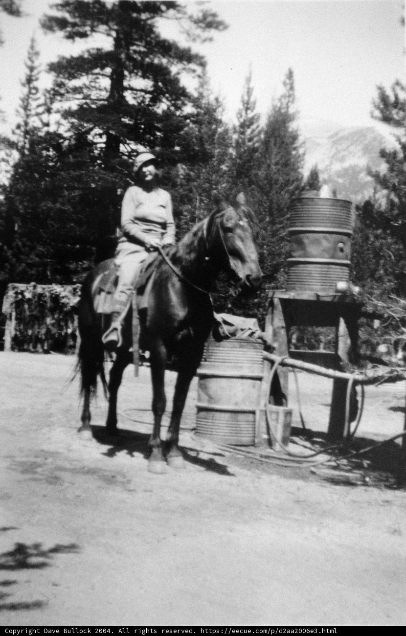 Horseback Riding Adventure