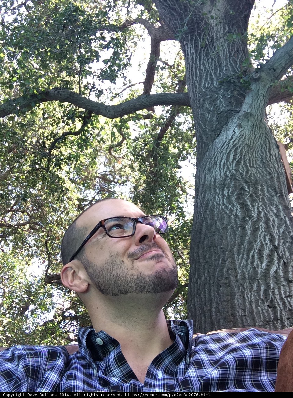 Man and Dog Take a Break under the Tree