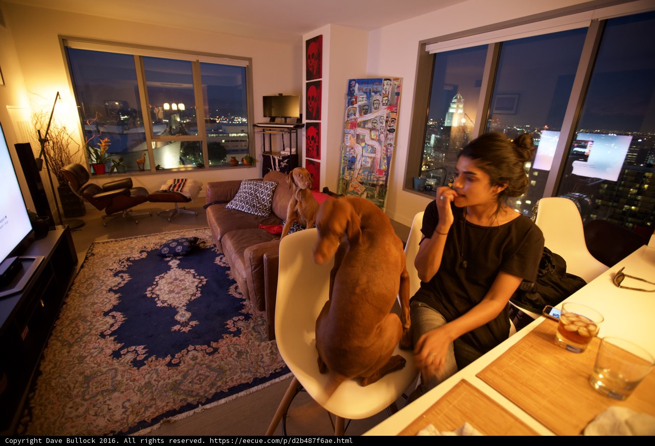 Relaxing in the Living Room