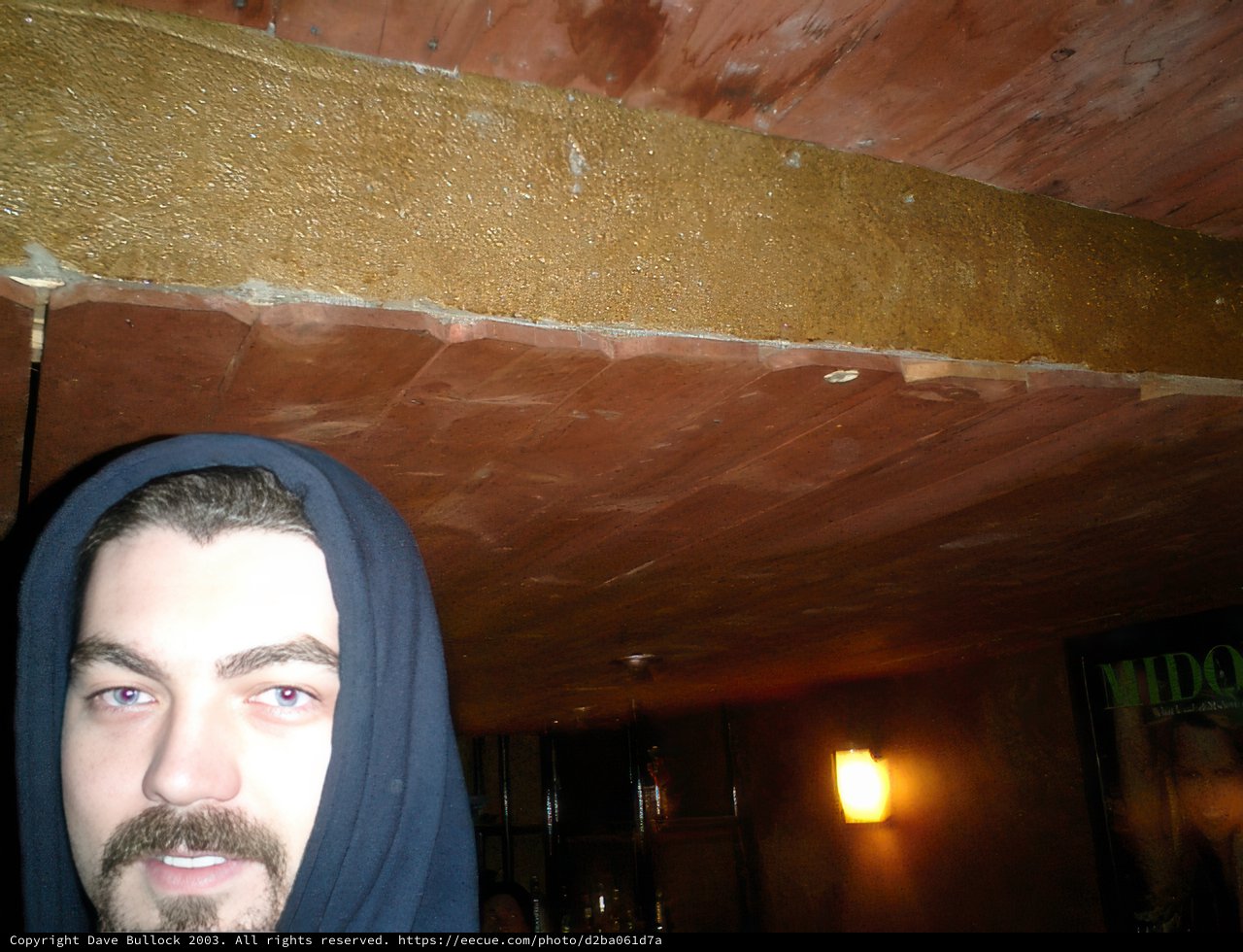 Plywood Ceilings