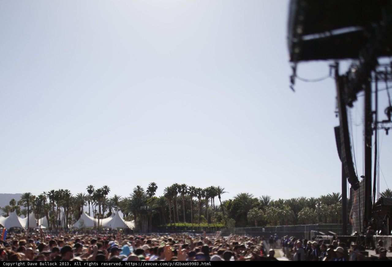 Festival Frenzy