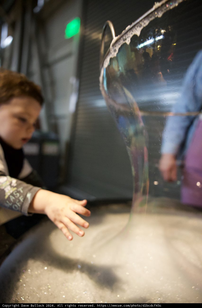 Bubble Delight: A Playful Moment Caught on Camera