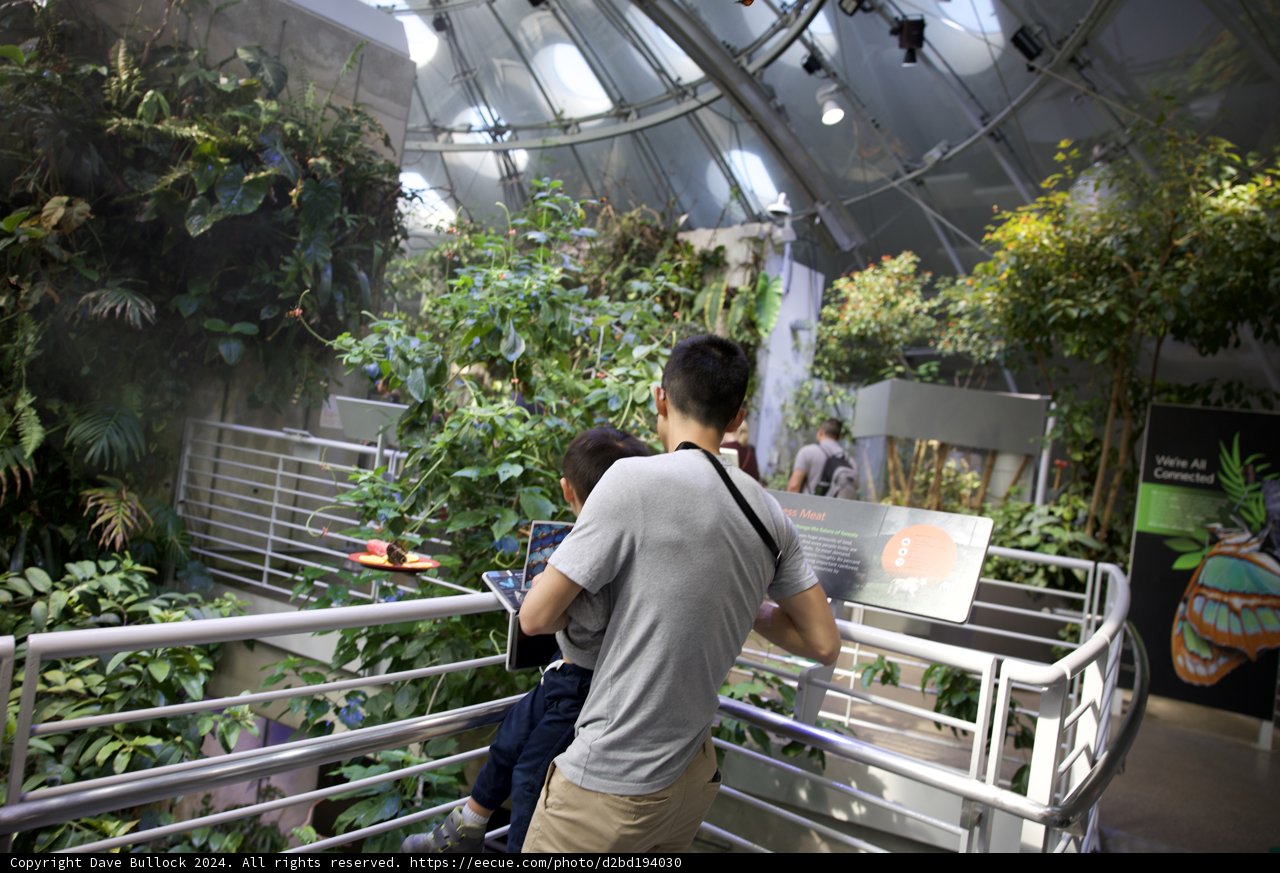 Exploring Rainforest Flora with Curiosity