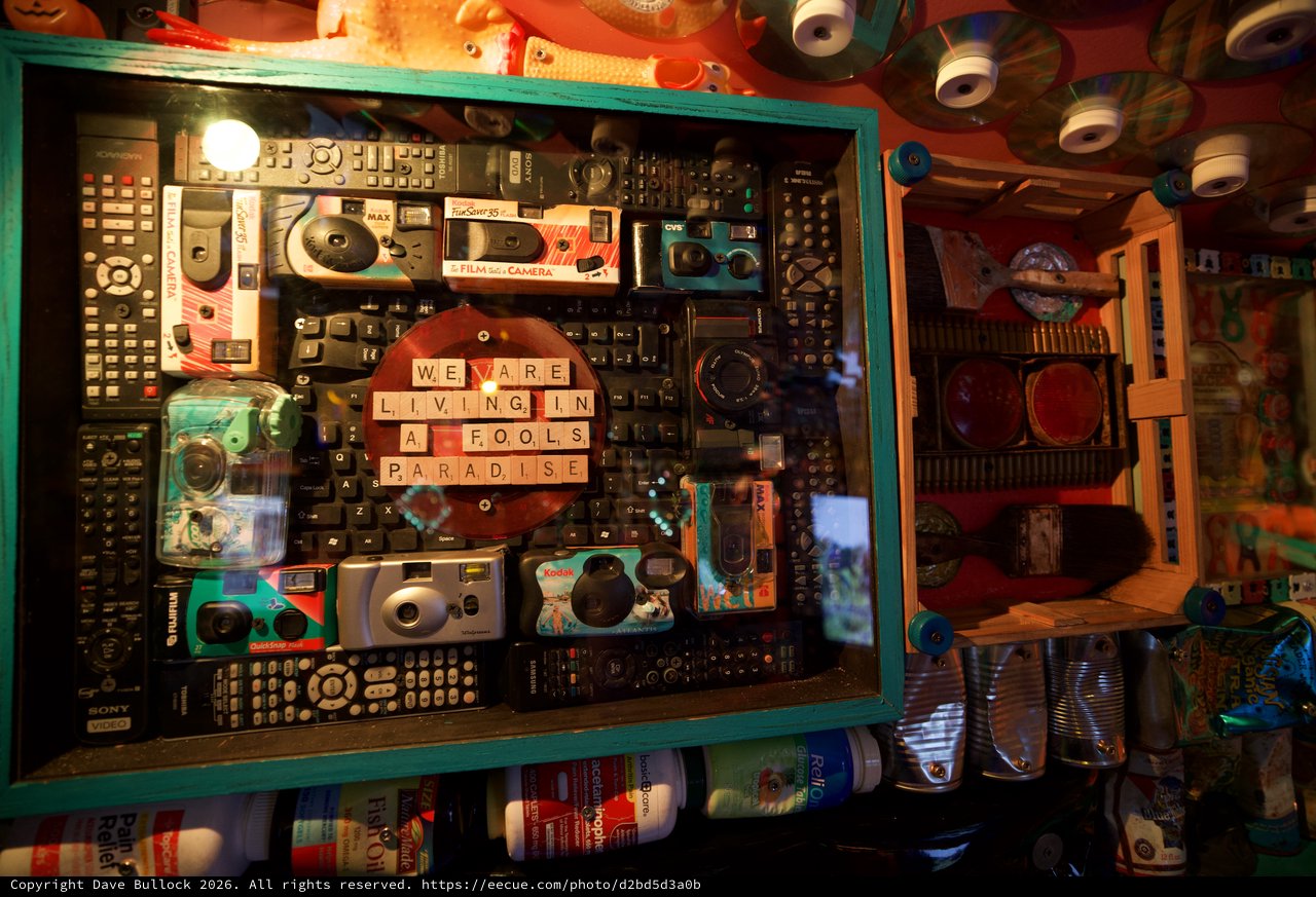 Nostalgic Shadow Box: We Are Living in a Fool's Paradise