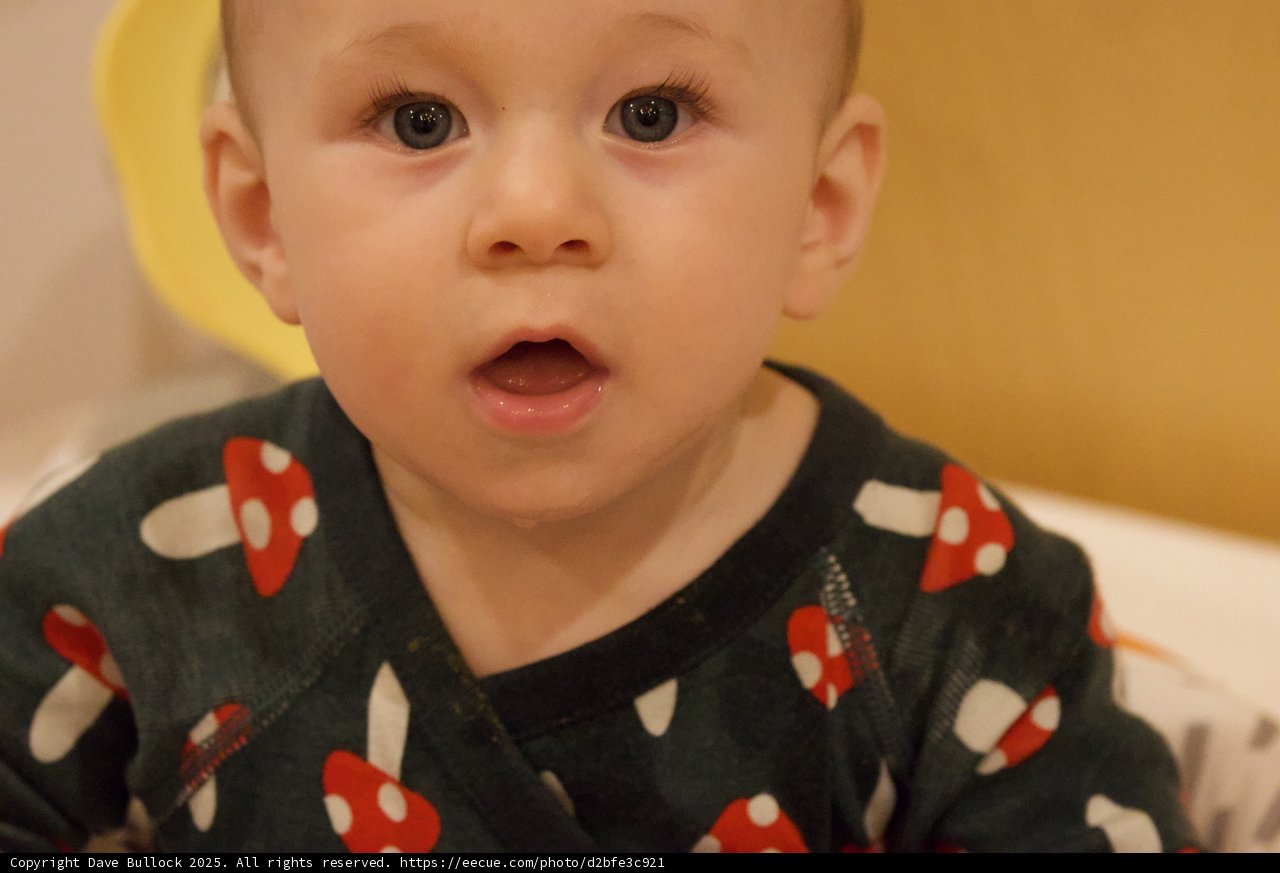 Wonder in the Eyes of a Little One