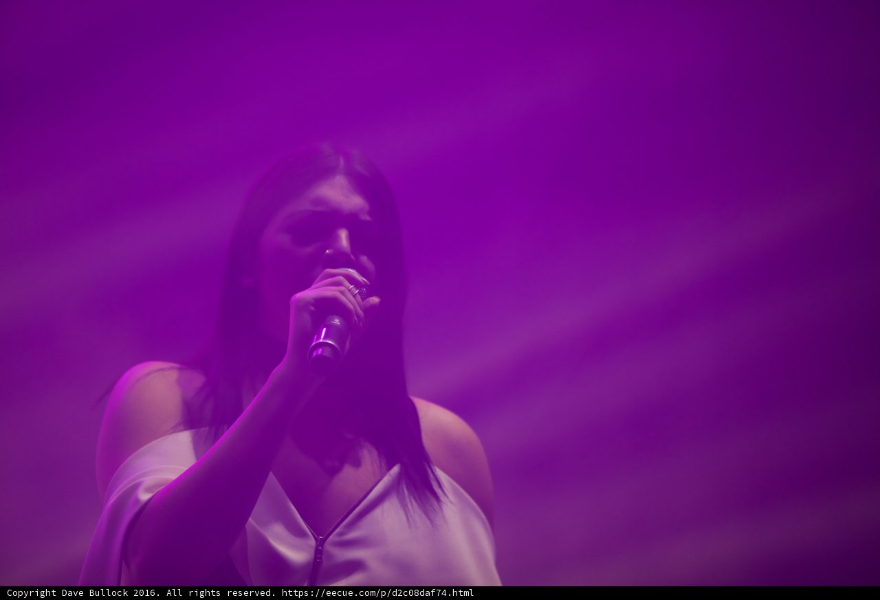 Purple Performance