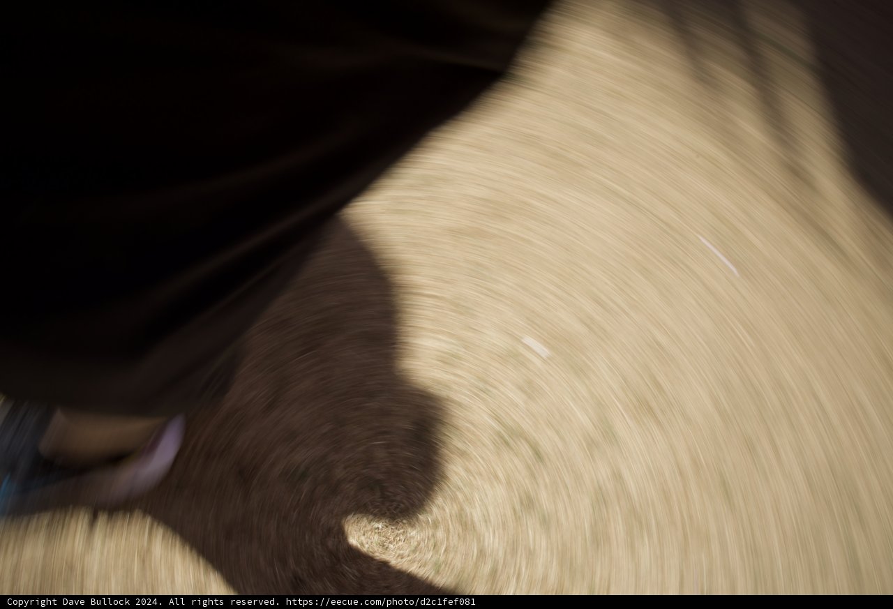 Whirling Wanderer