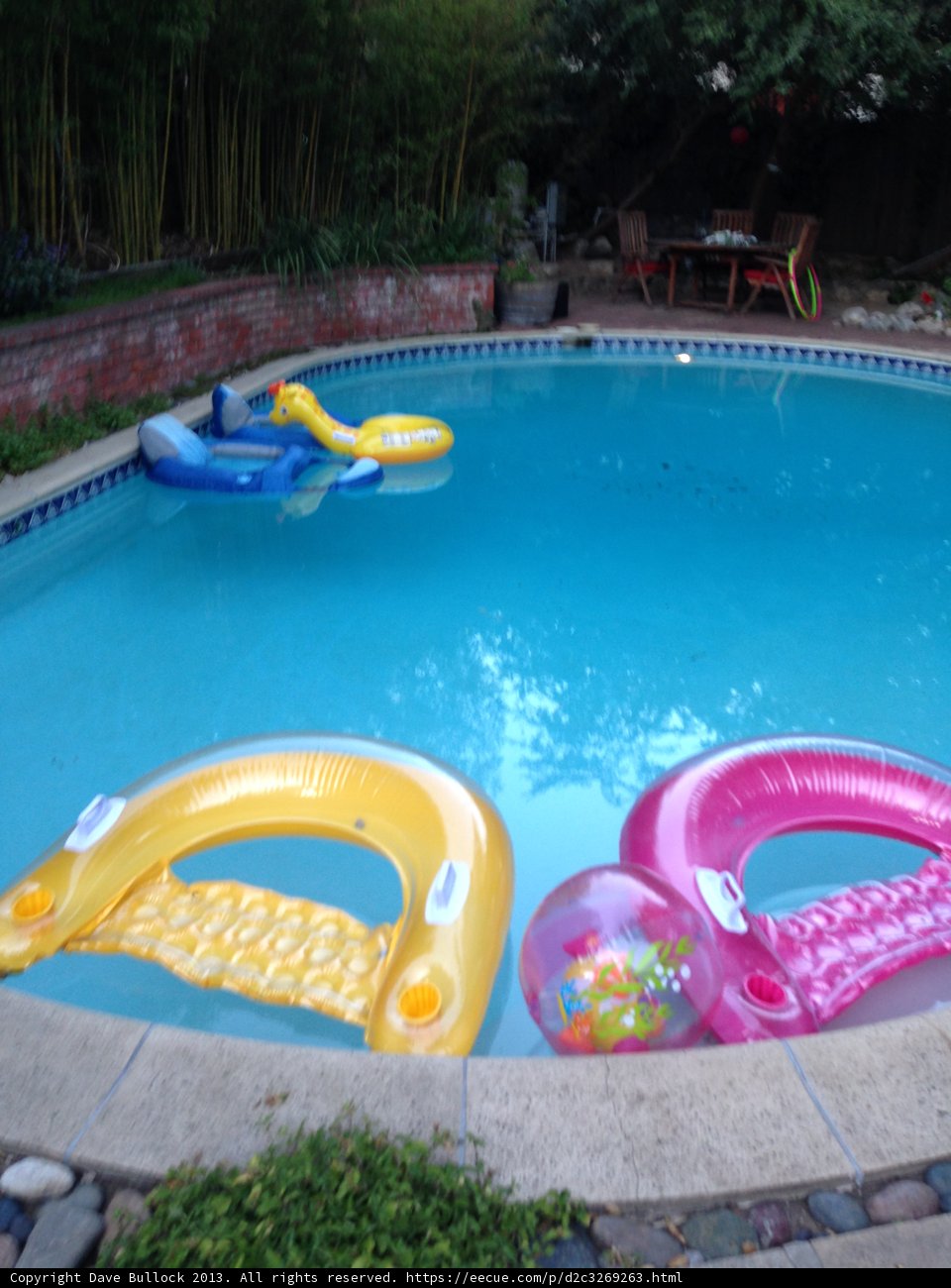 Splish Splash Summer Fun