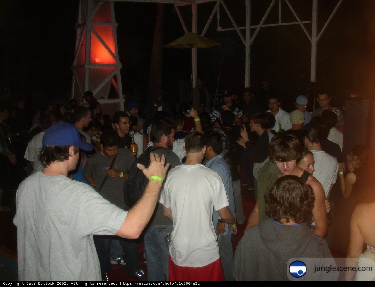 Night Club Crowd
