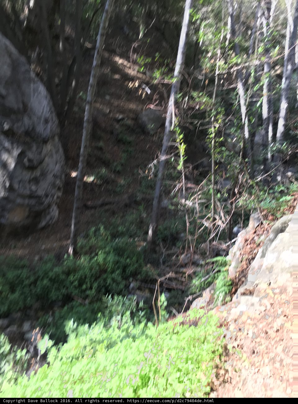 Biking through the Wilderness