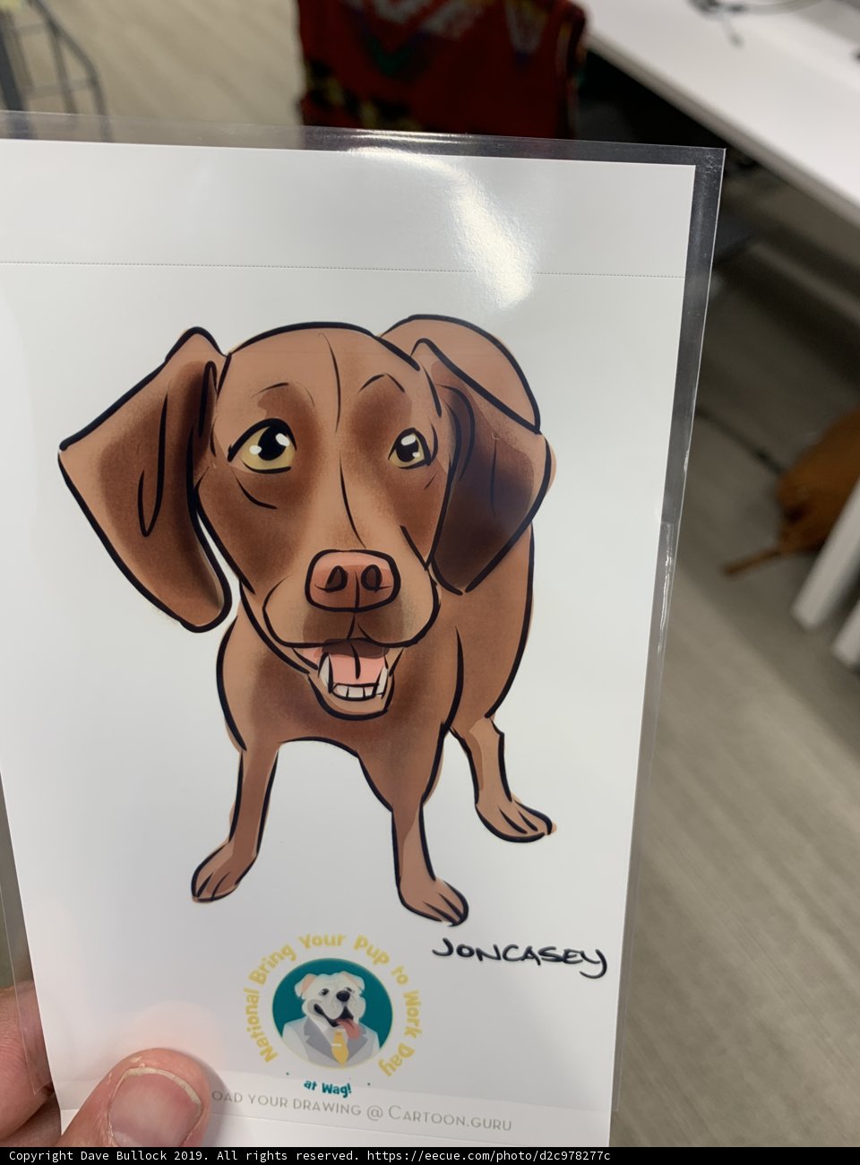 Cartoon Canine Greeting Card