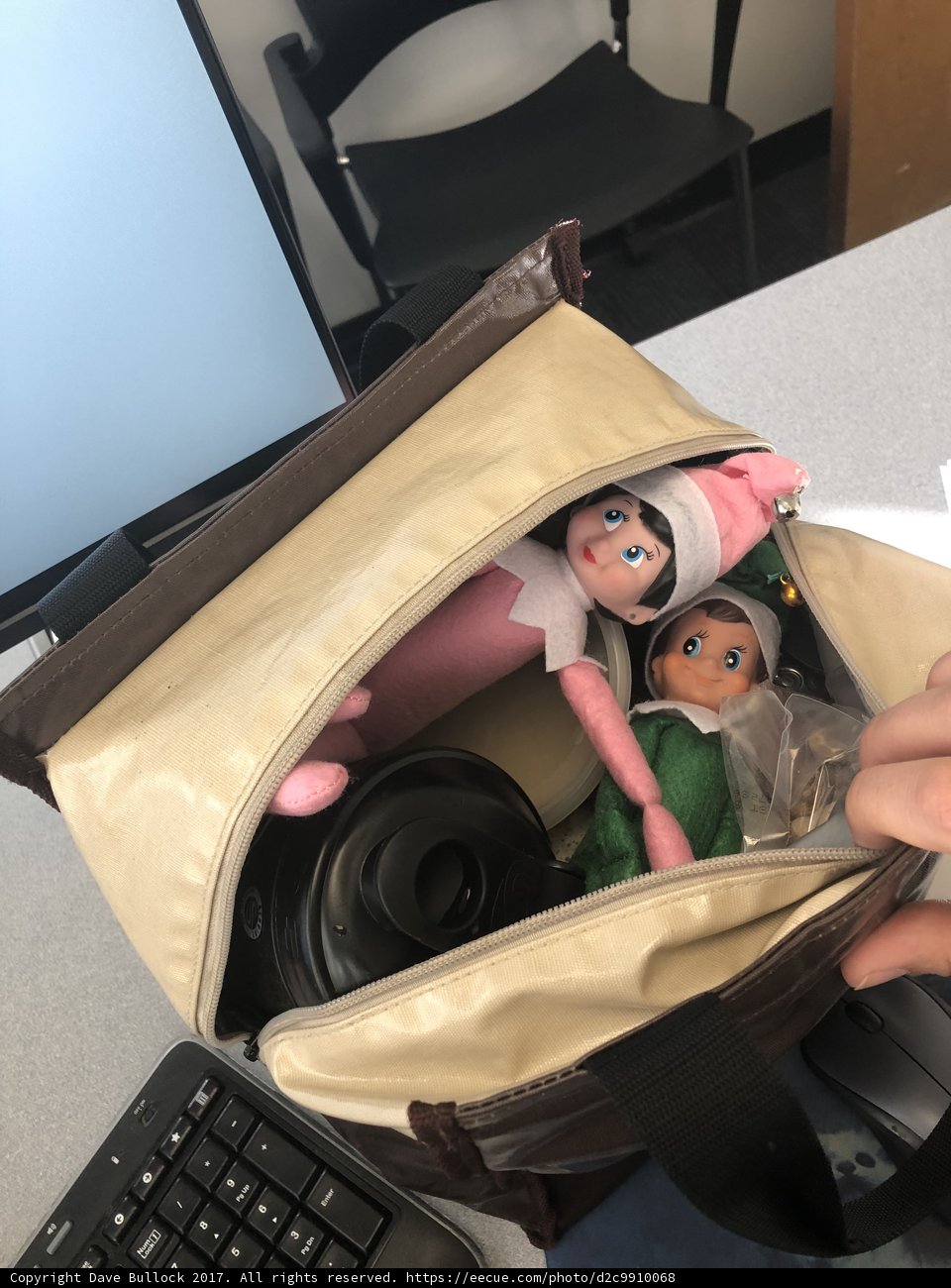 Laptop and Stuffed Toy in Bag