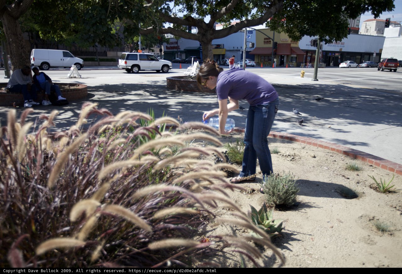 Park Gardener