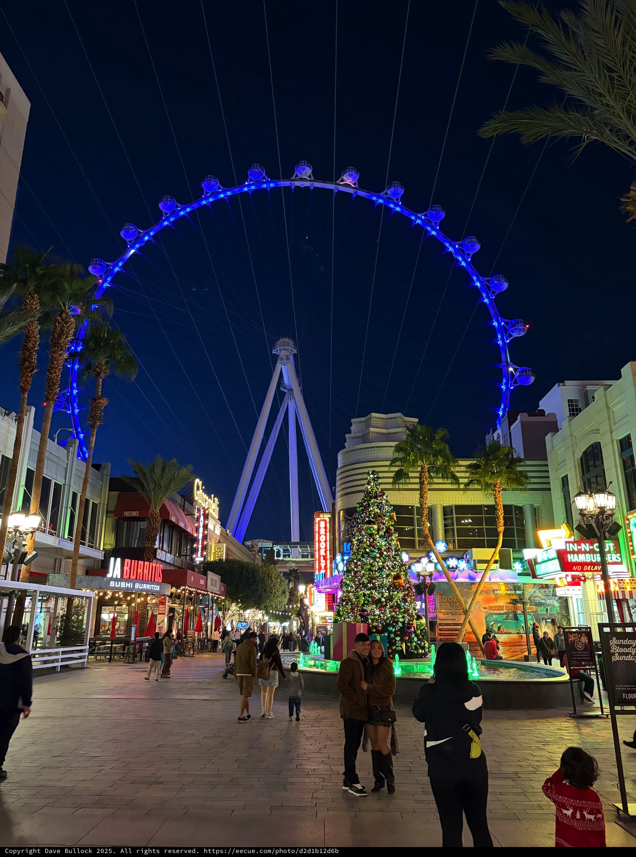 The High Roller Observation Wheel Illuminated at Night