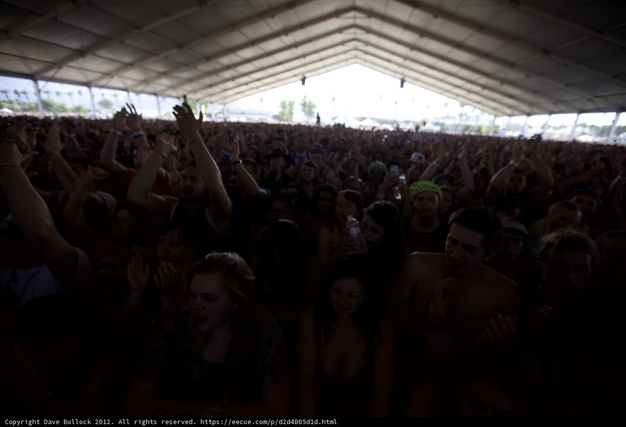 High-Energy Crowd at Coachella