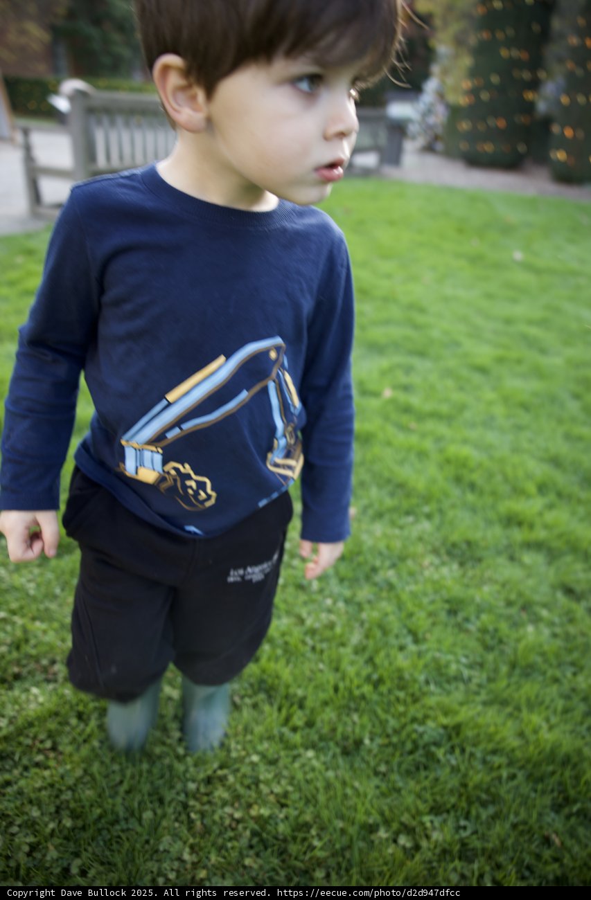 Childhood Adventures in Autumn