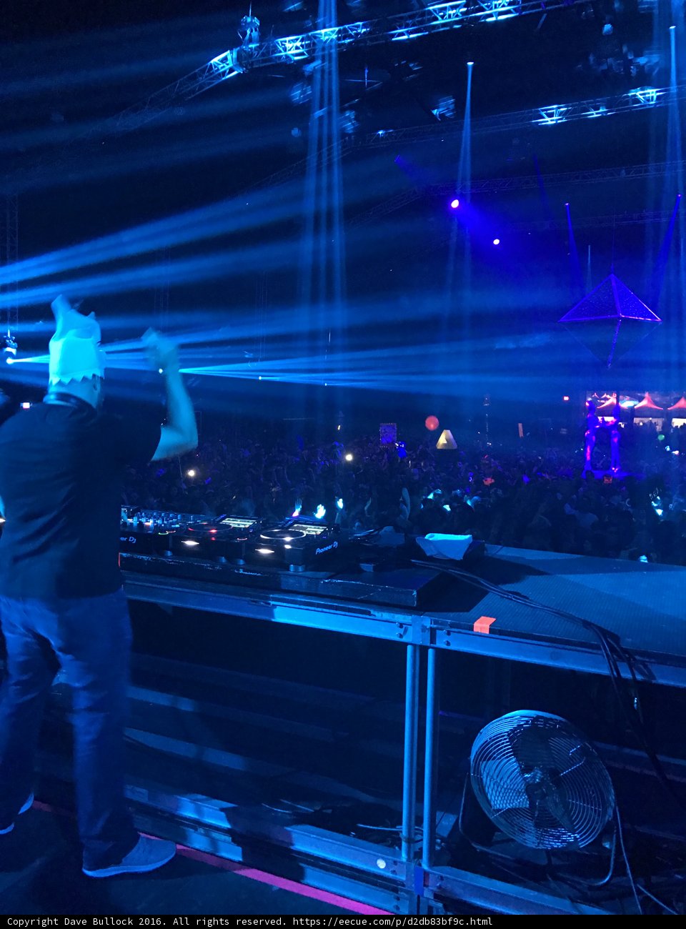 The Ultimate Nightlife Experience