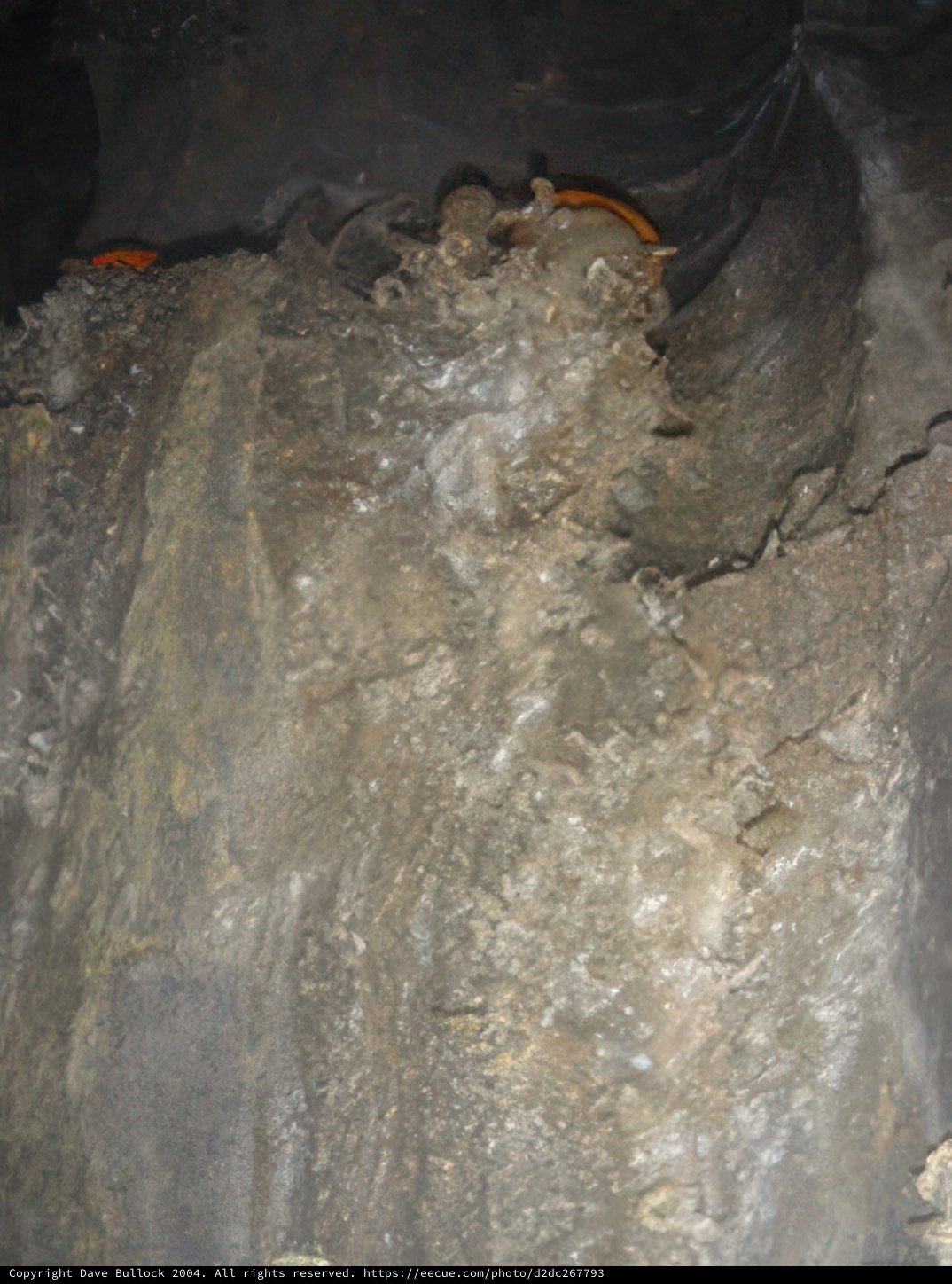 The Orange Cave Explorer