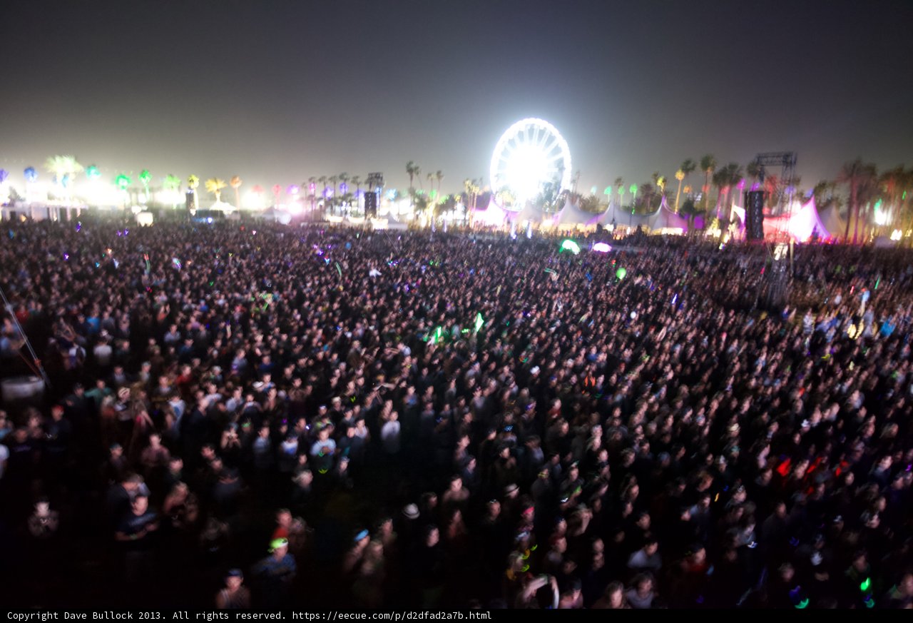 The Ecstatic Crowd at Coachella