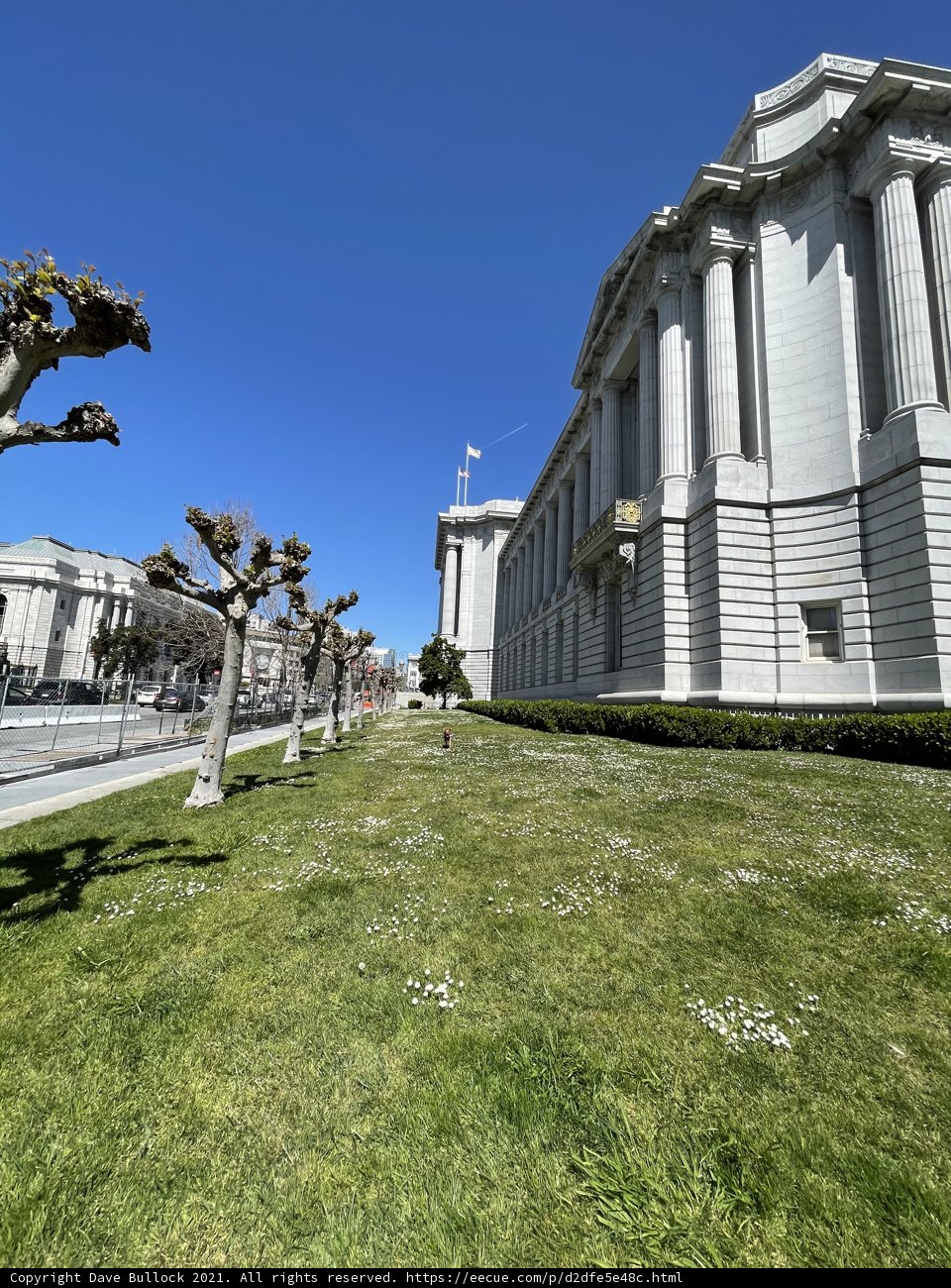 A Serene Afternoon at San Francisco City Hall