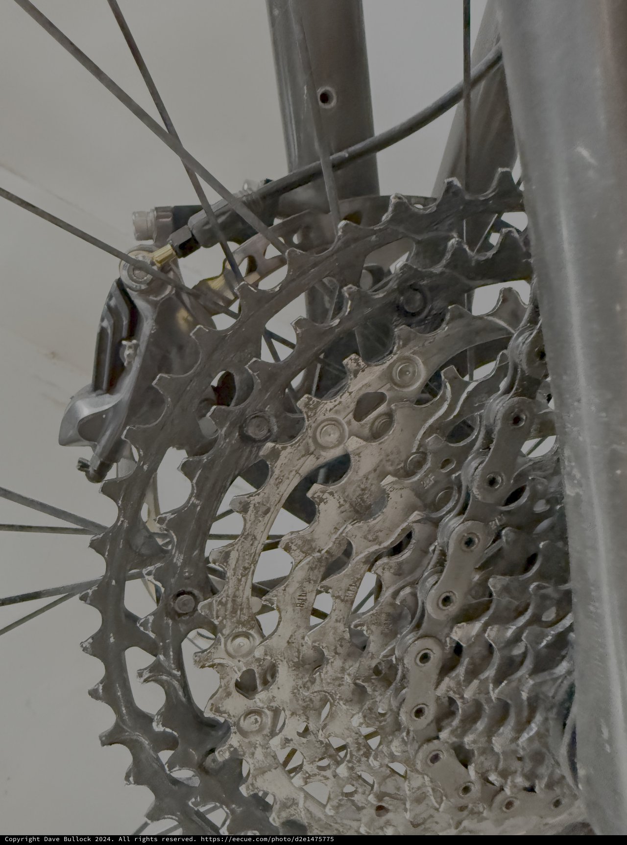 Mud-Caked Bicycle Cassette and Chain Detail