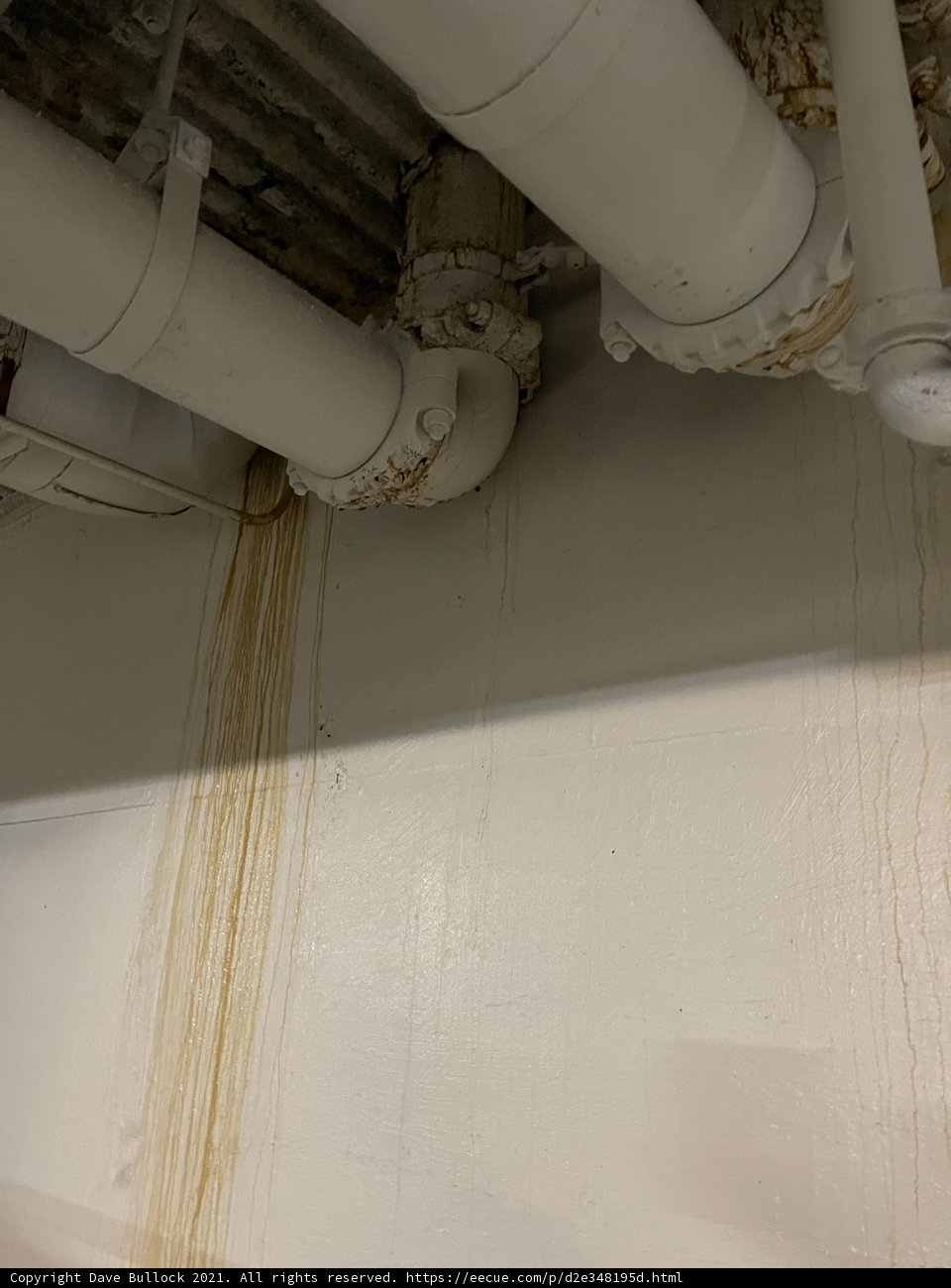 Water Damage Woes