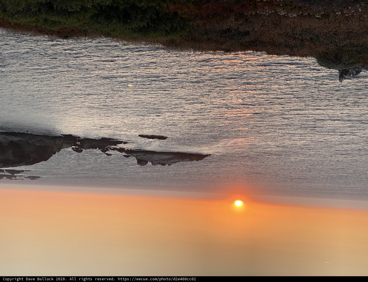 Golden Sunset on the California Coast