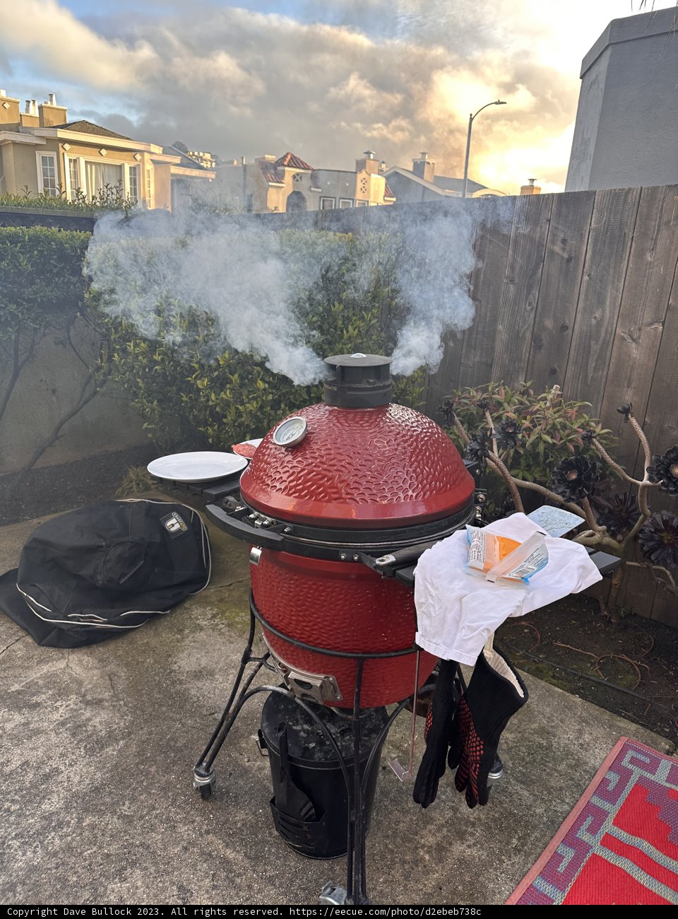 Sizzling BBQ Delights Under the Cloudy Sky