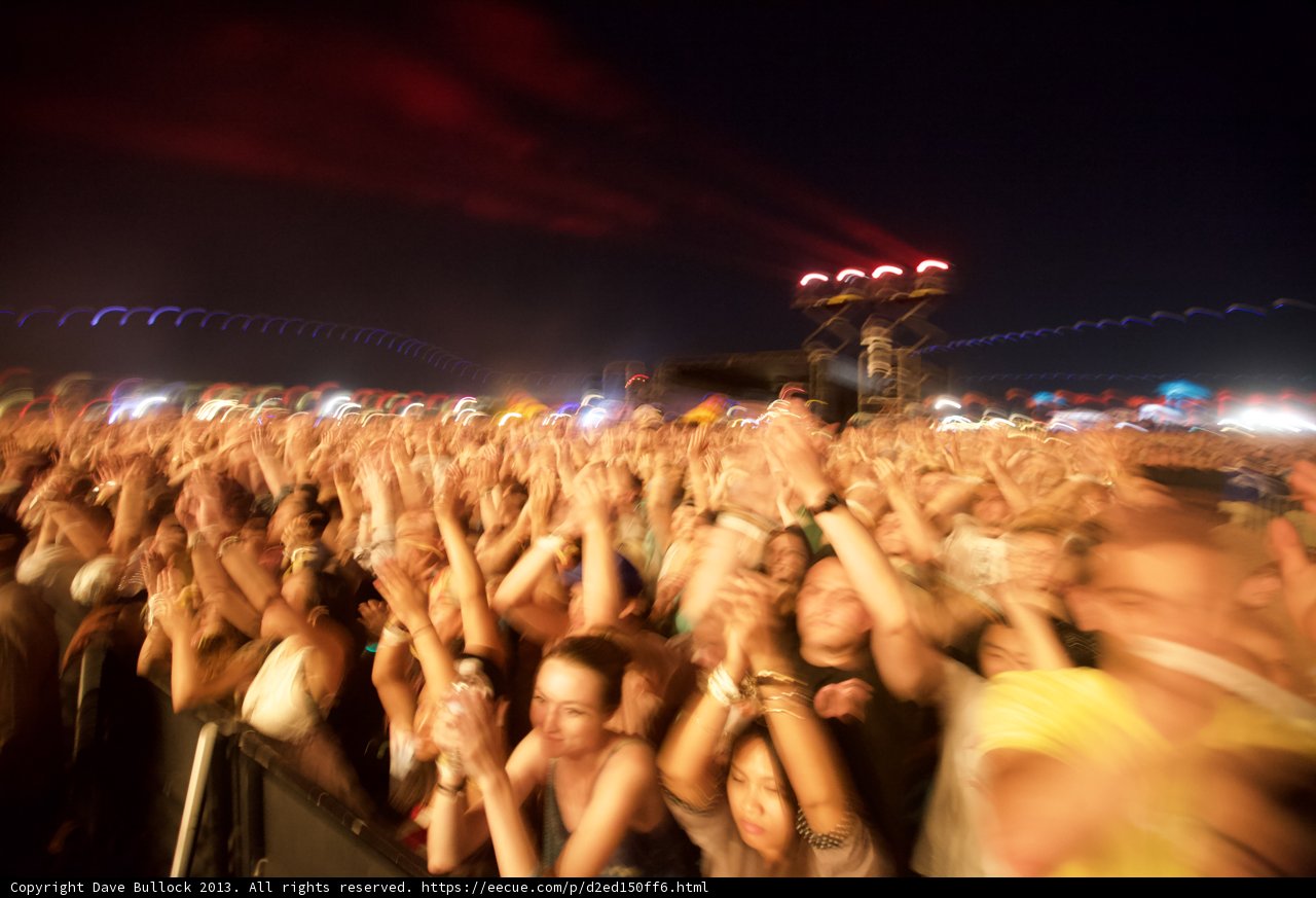 Festival Fever