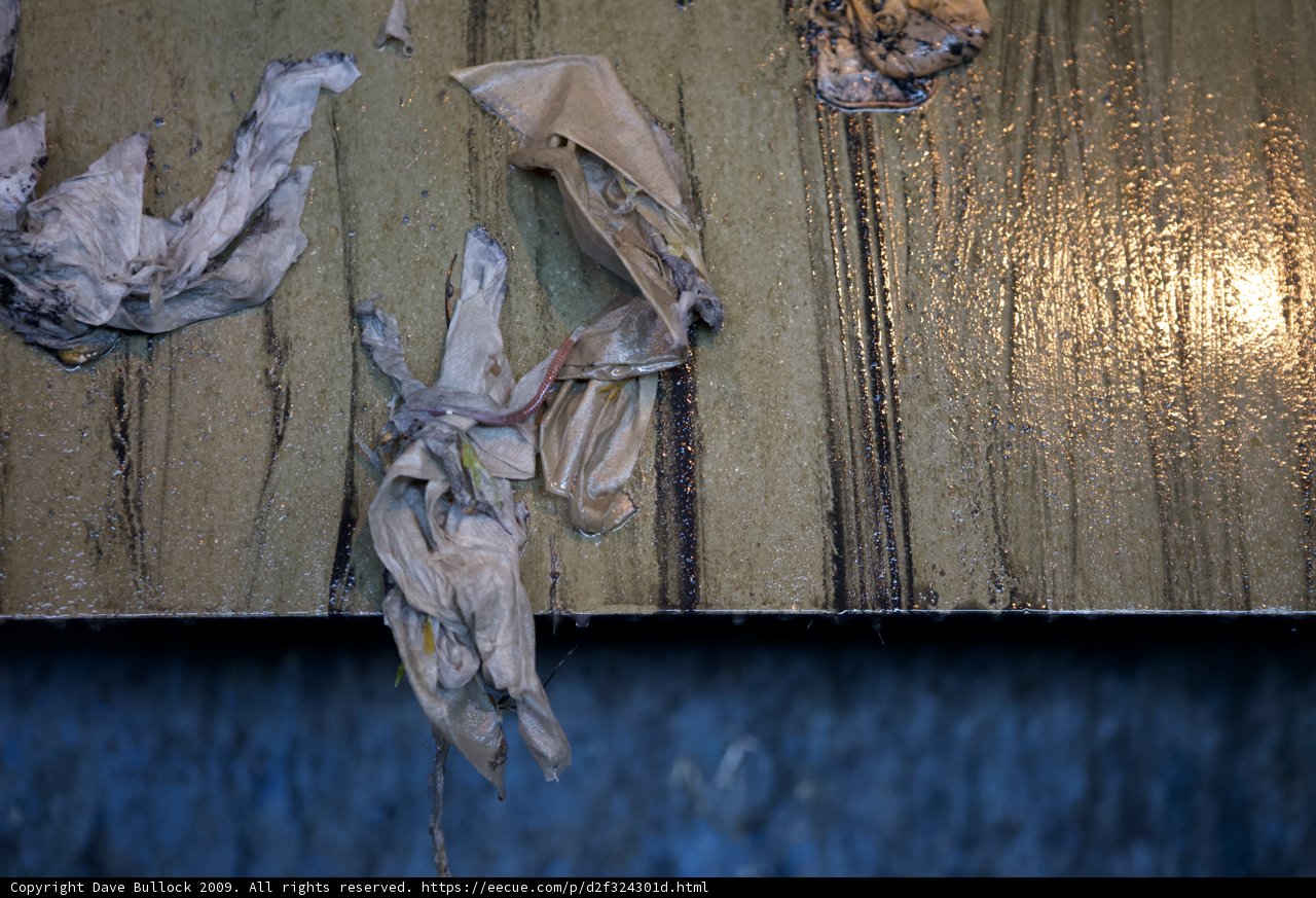 Paper Towels on a Wooden Wall