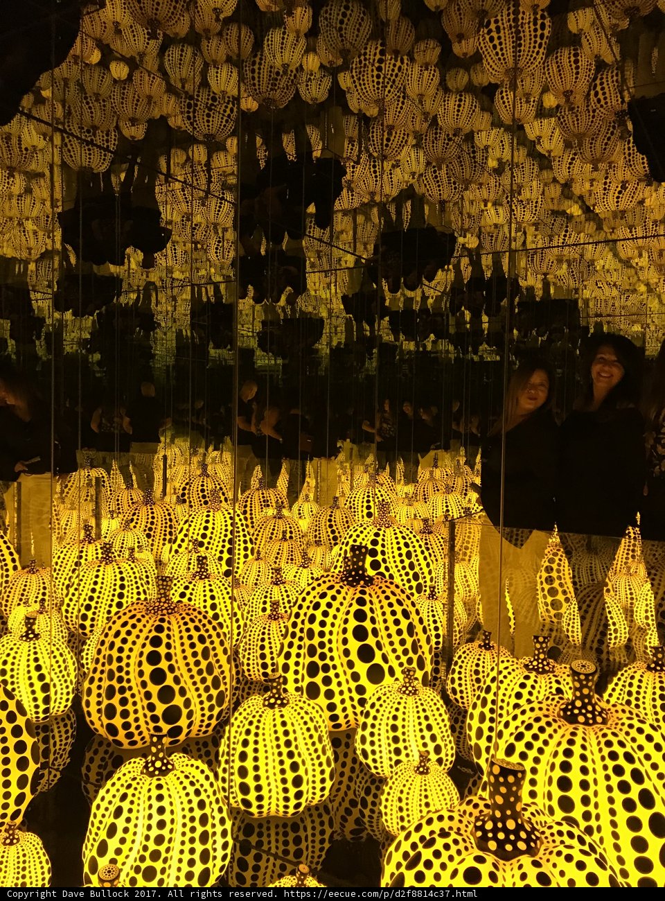 The Pumpkin Patch Room