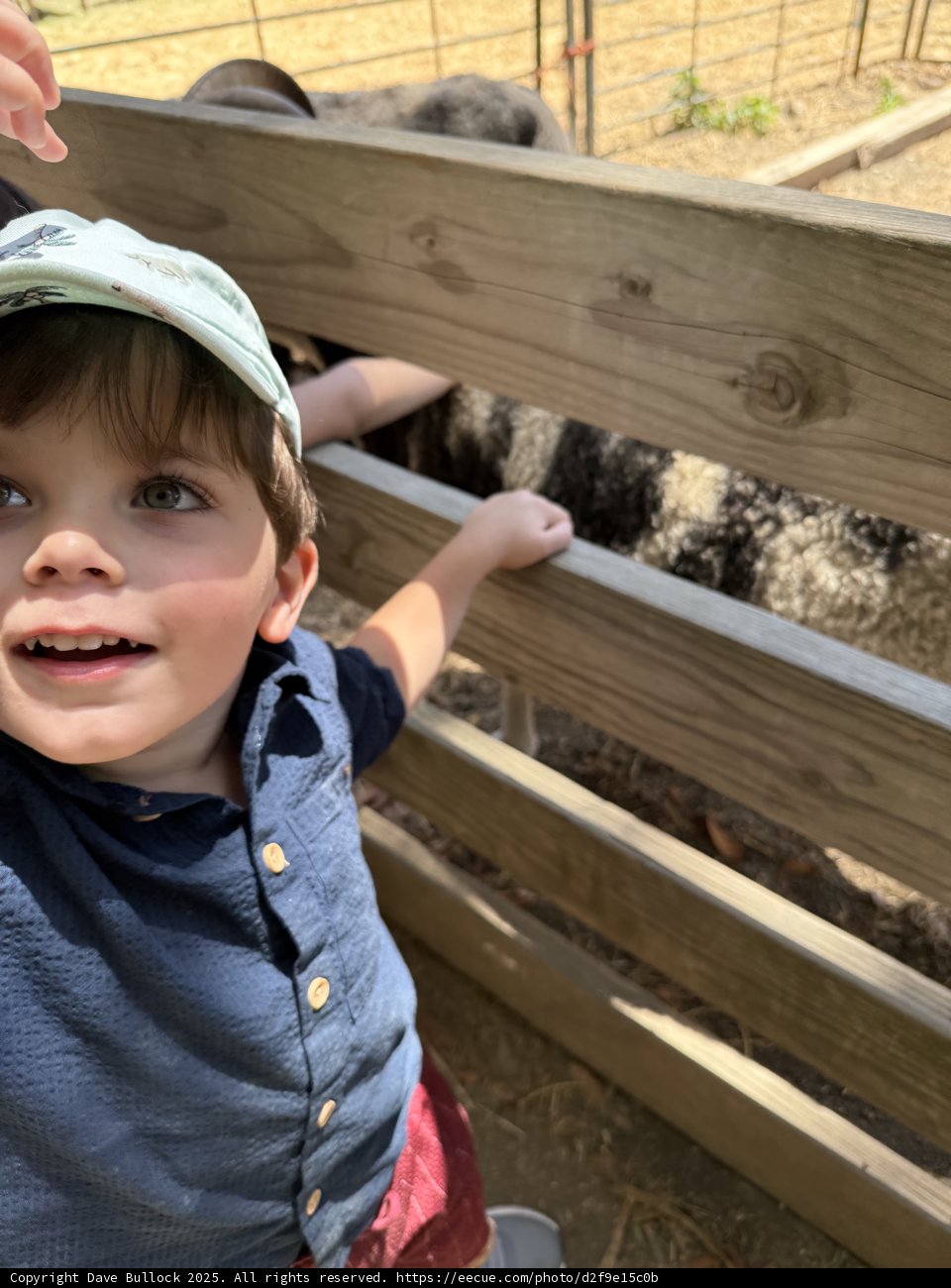 Curious Encounters at Tilden