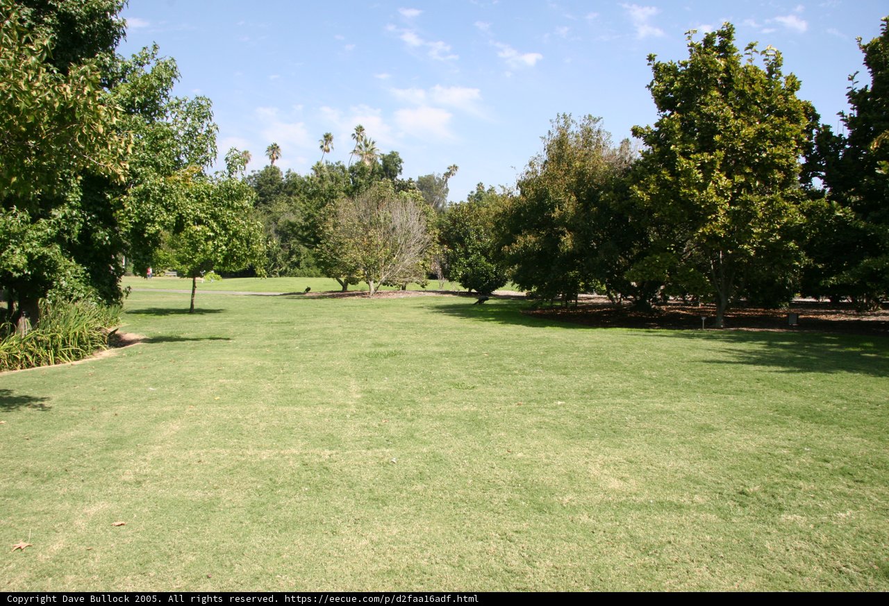 Peaceful Day in the Park