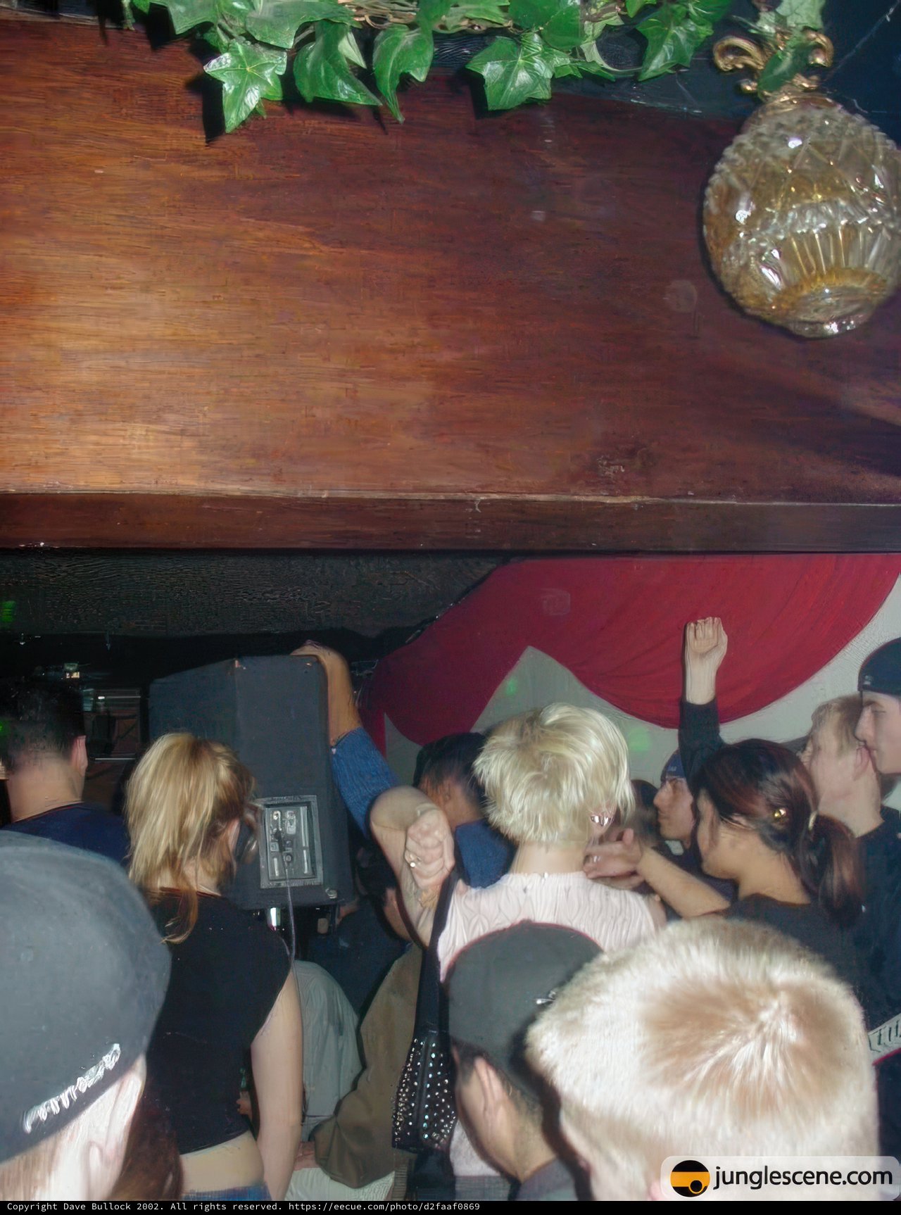 Nightlife Performances