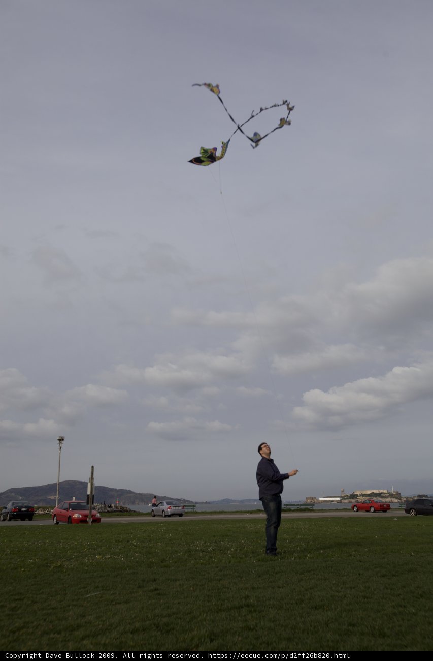 Kite-Flying Fun in the Field