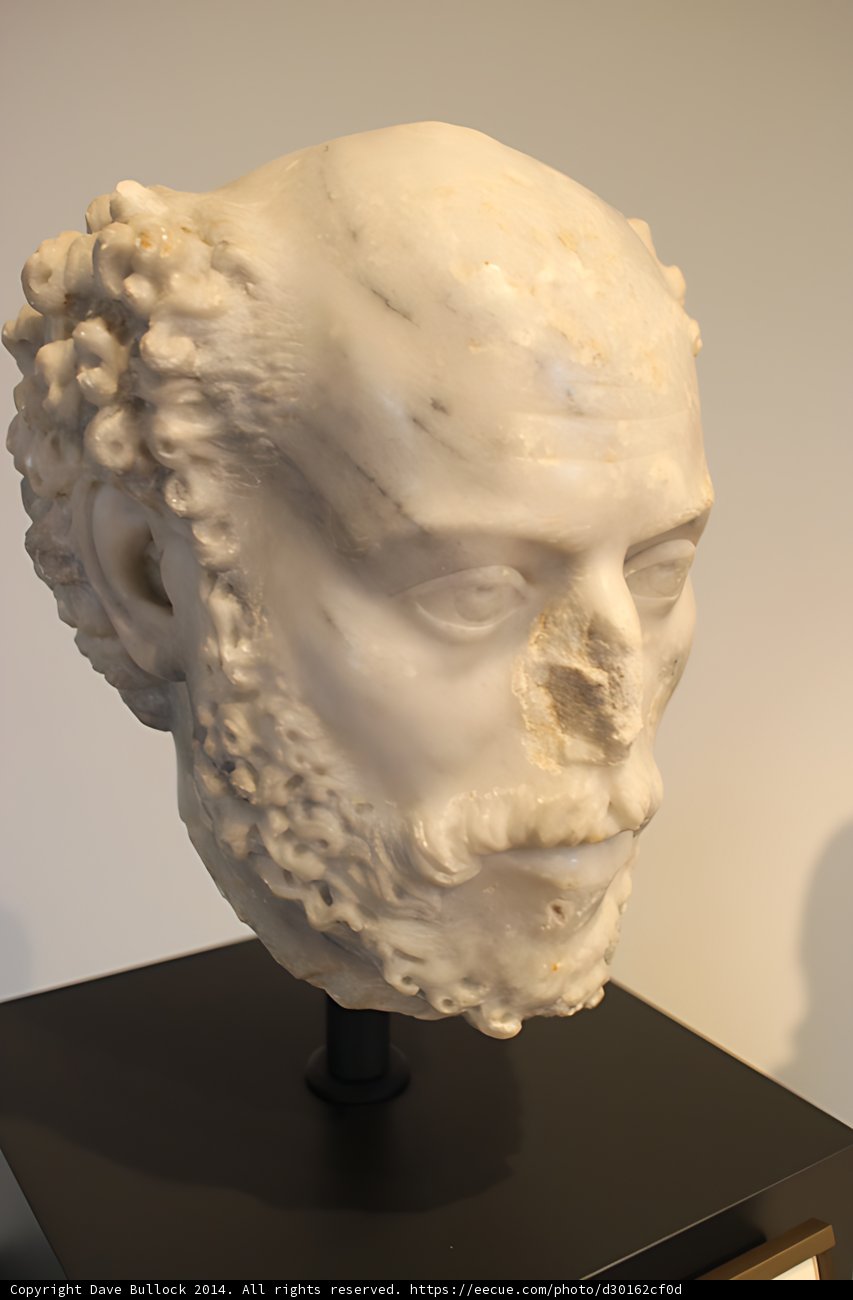 The Bearded Skull