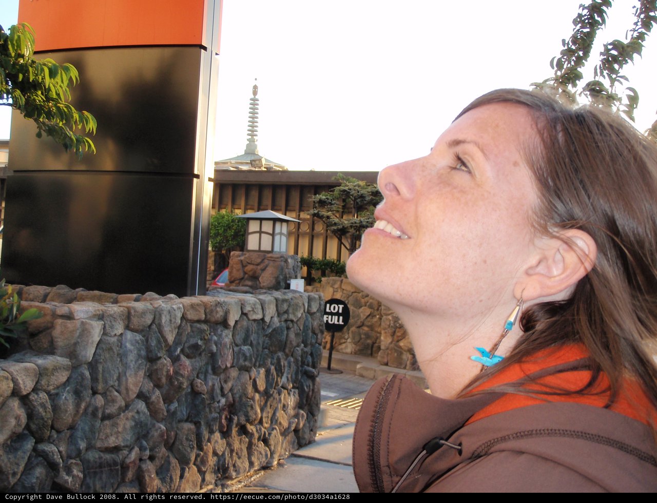 Woman Gazes Upward at San Francisco Japanese Garden