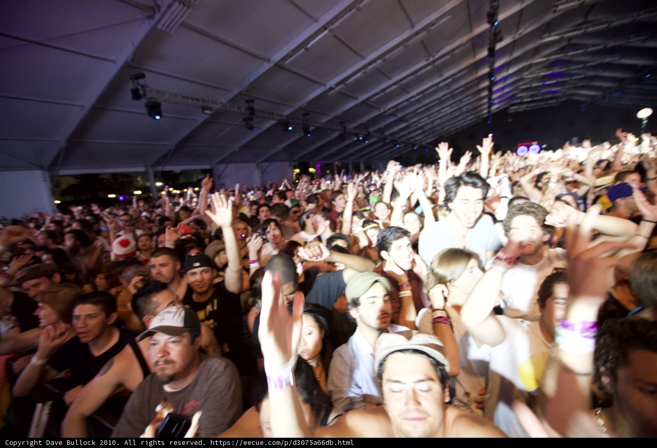 Coachella Crowd Goes Wild
