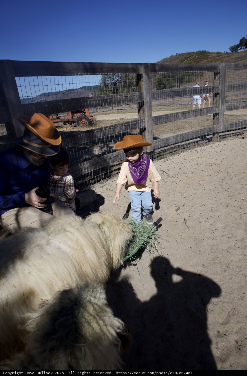 Ranch Adventures in Carmel Valley