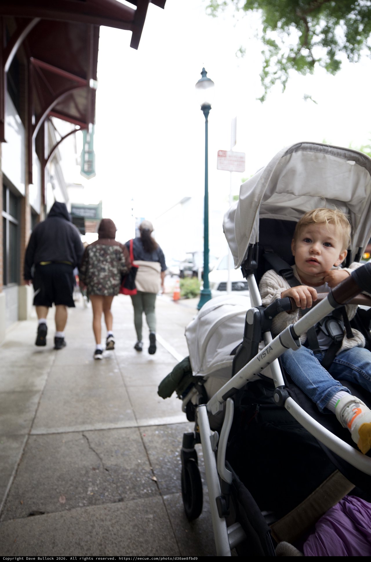 Curious Toddler in Stroller on Sacramento Street