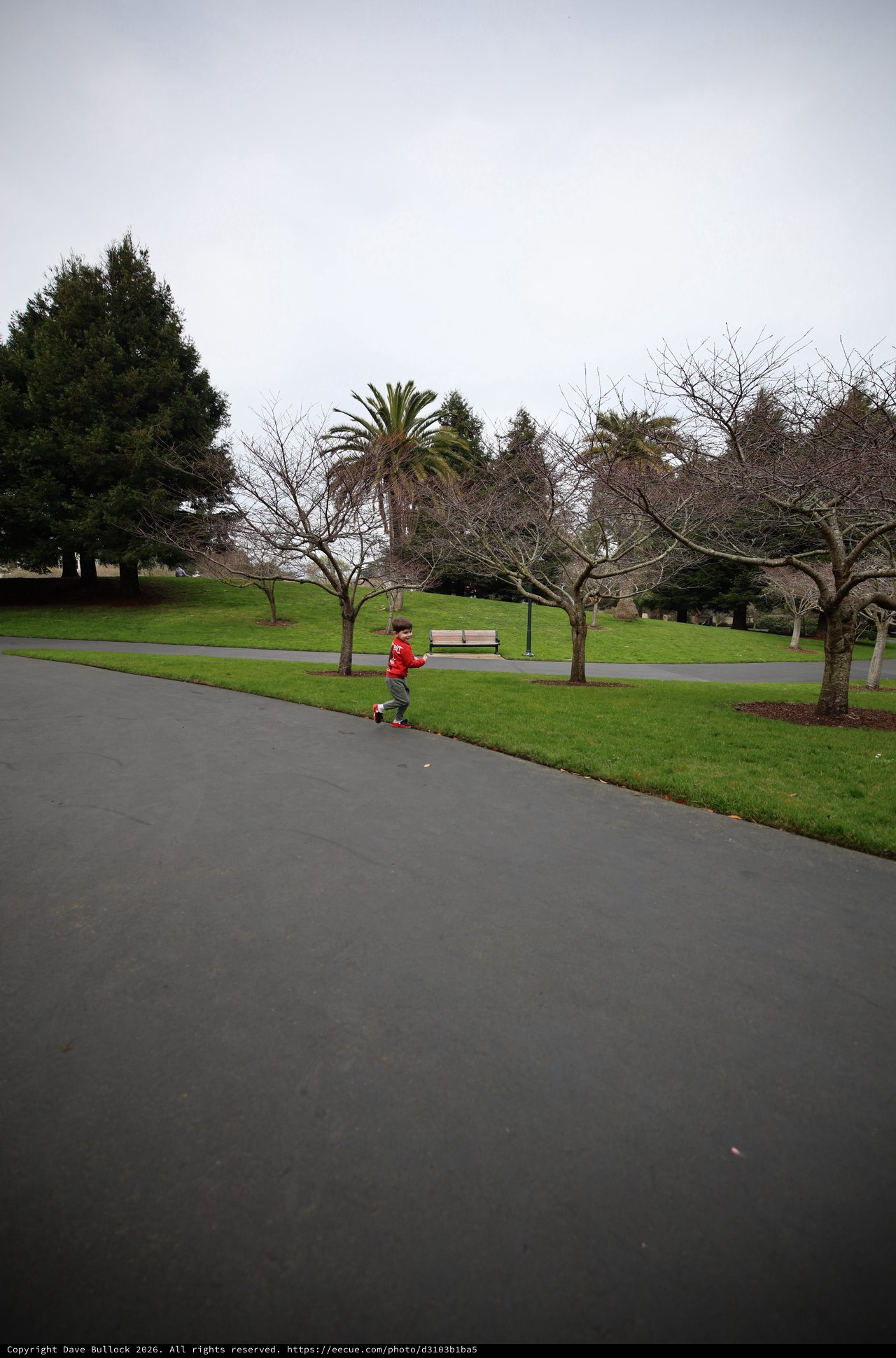 Child on Scooter in Park on Overcast Day