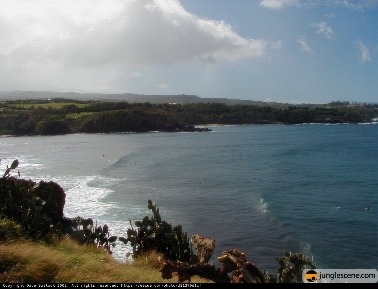 Overlooking the Majestic Ocean