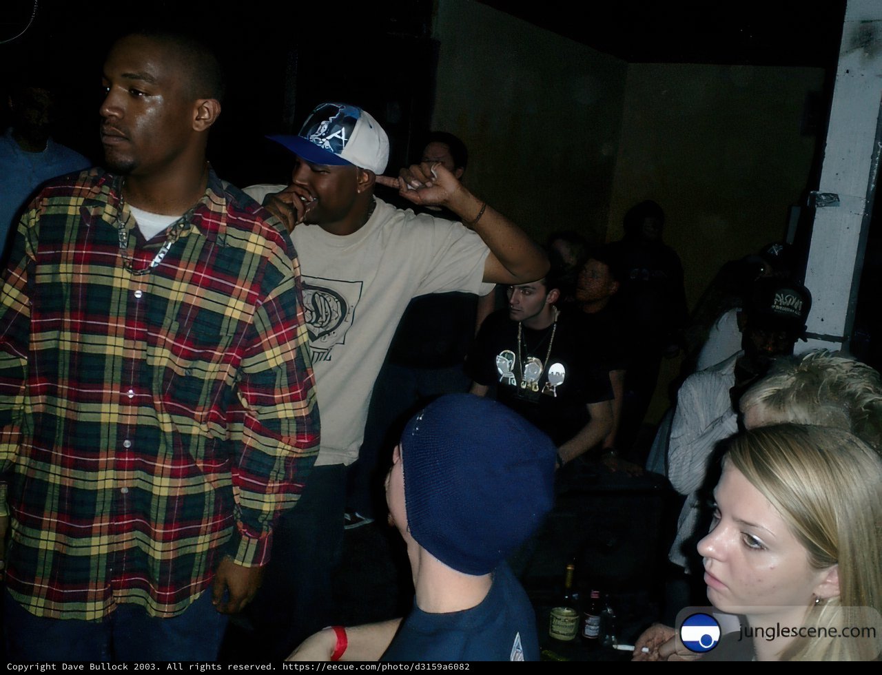 Nightlife Gathering