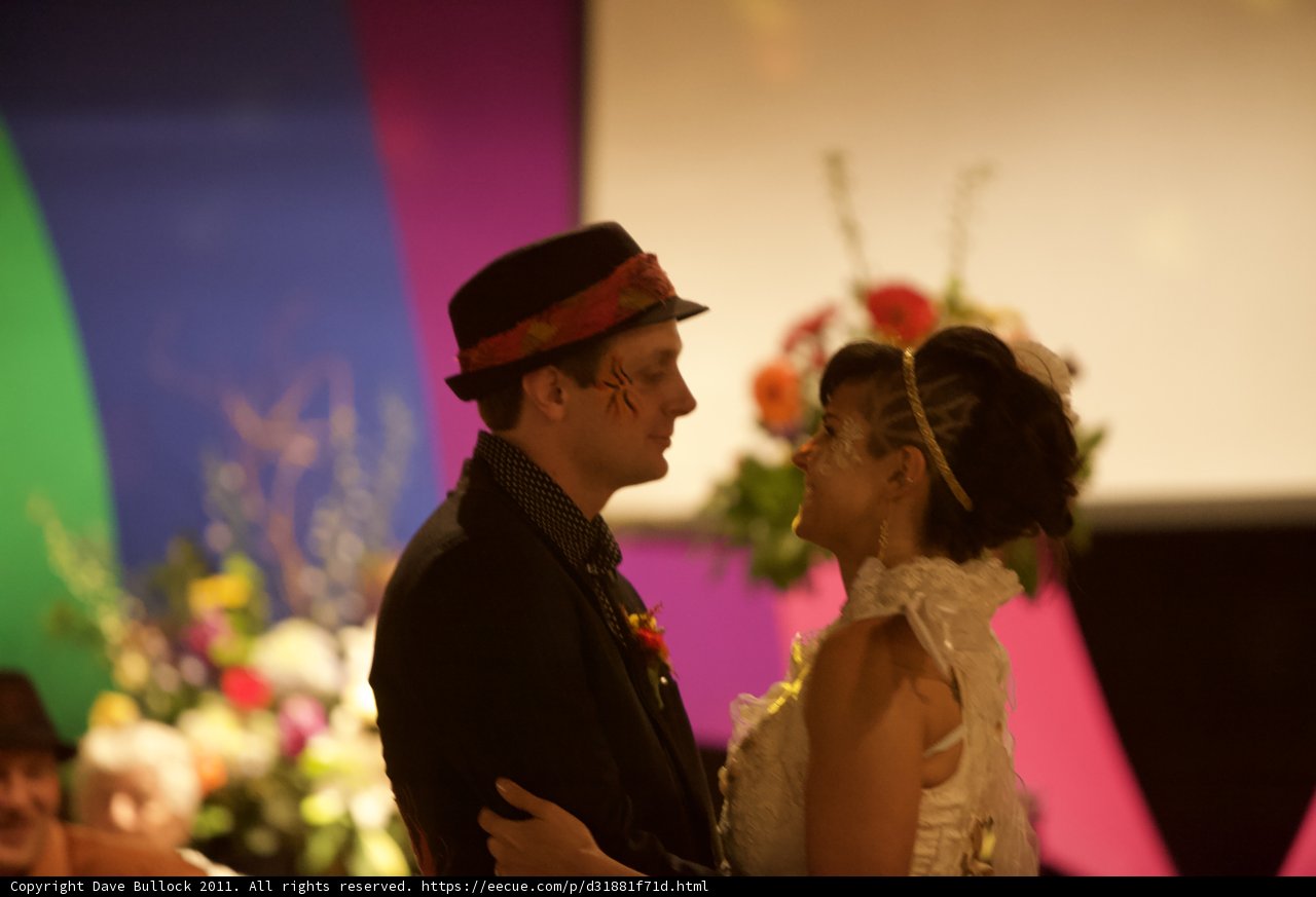The Colorful Backdrop of the Wickstrom Wedding