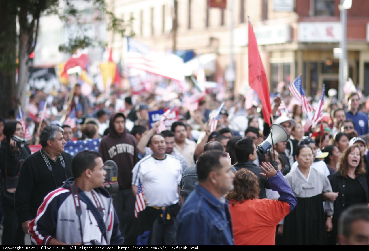 Patriotic Crowd