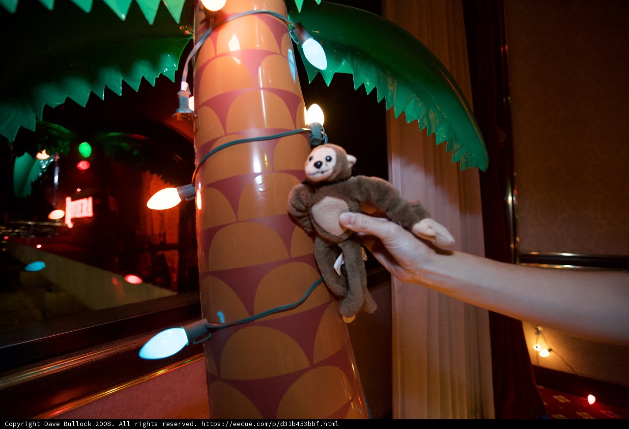 Monkeying around in nature