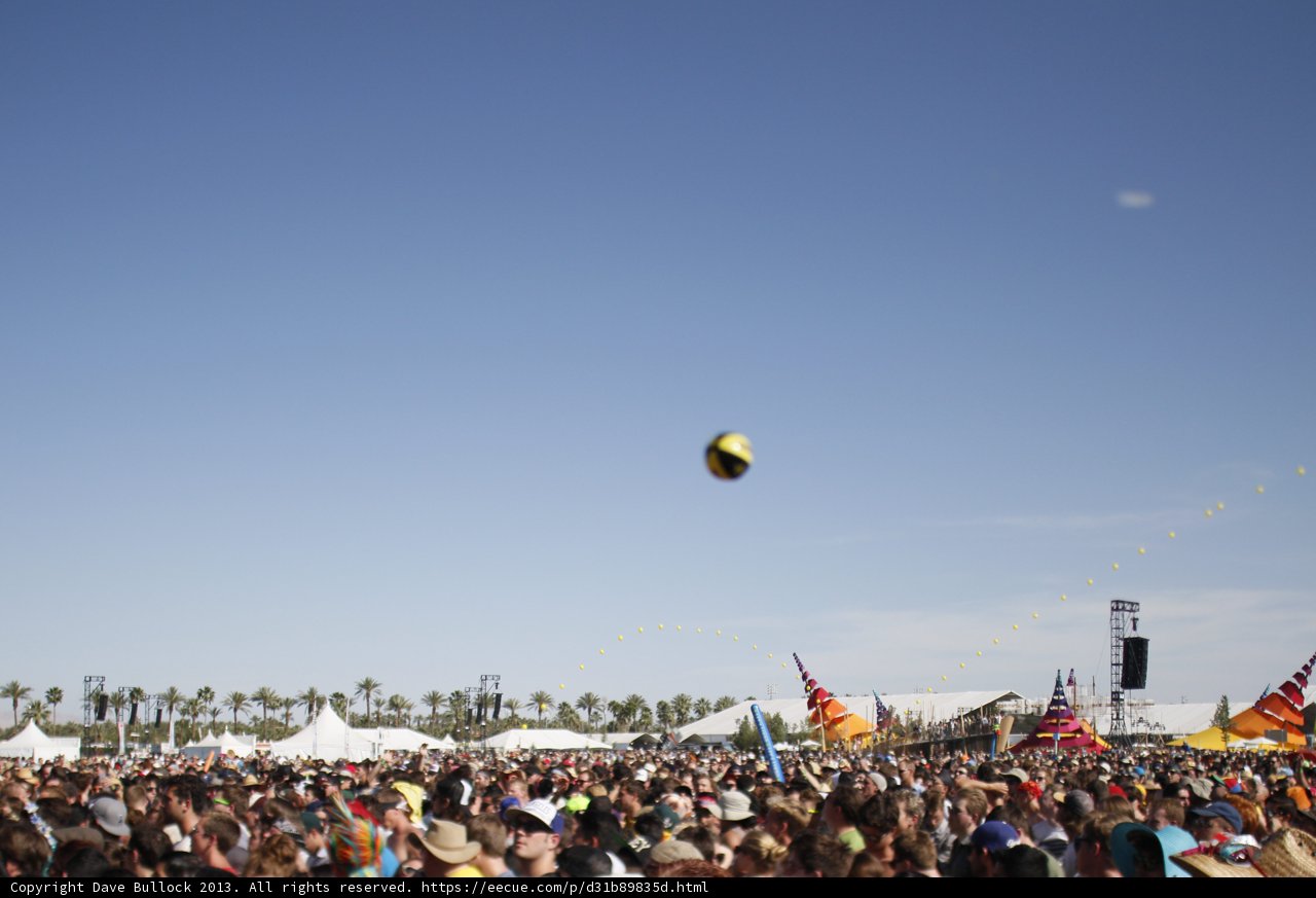 Festival Fever