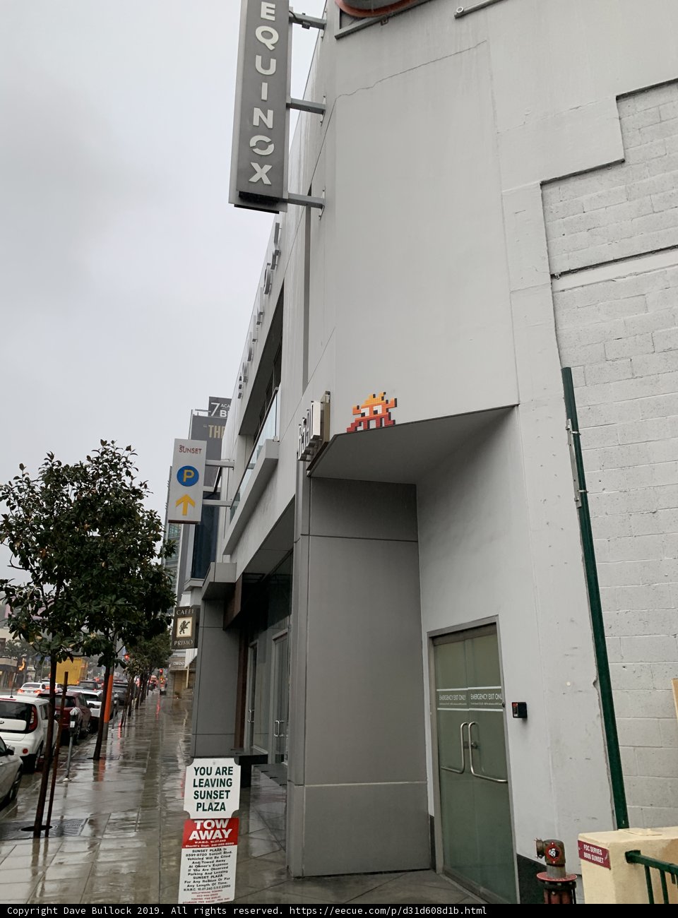 The Oasis Building in the City