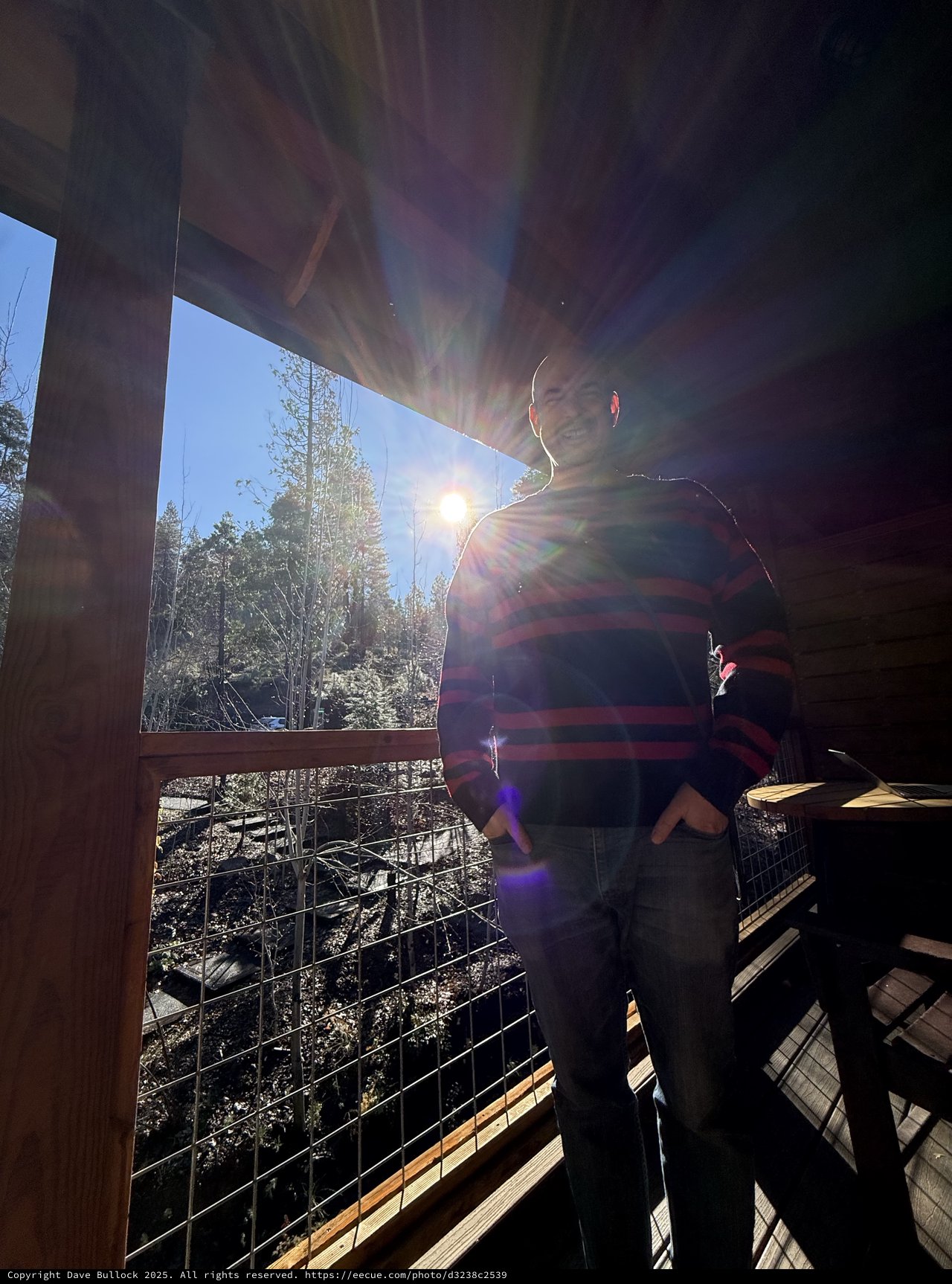 Sun Flare Portrait on Snowy Forest Cabin Deck